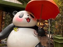 -轩客会(熊猫书店)
