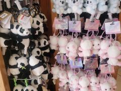 -广州长隆国际大马戏