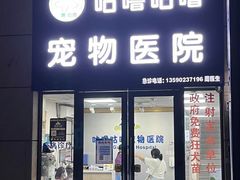 -咕噜咕噜宠物医院·CT·肿瘤科·骨科(前海院)