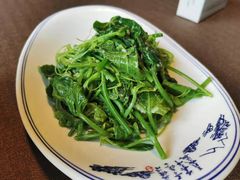 碧绿瓜尖-樽宴酒楼·地道川菜·品质宴请