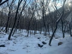 -五家山森林公园滑雪场