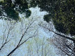 -贡湖湾湿地公园