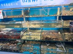 -仙螺岛海鲜自助餐厅(总店)
