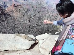 -科罗拉多大峡谷
