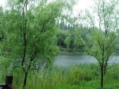 -黄海国家森林公园