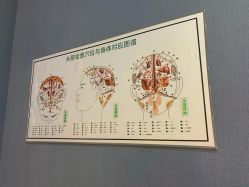 点击看大图 -博士园·女士严重脱发生发中心