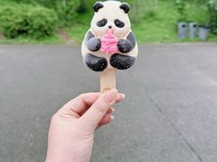 -都江堰中华大熊猫苑