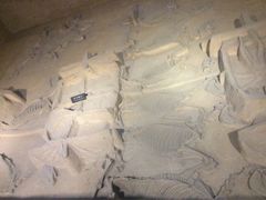 -洛阳周王城天子驾六博物馆