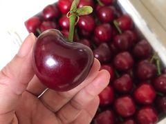 -果叔(红旗街店)