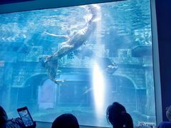 -抱抱地球咖啡馆(国家海洋博物馆店)