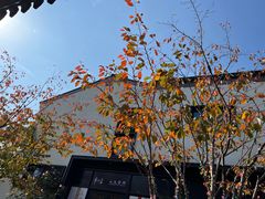 -雅达·阳羡溪山小镇中心