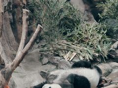 -北京动物园