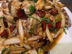 -柿子树炭烤羊腿(金台路店)