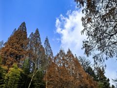 -莫干山风景区