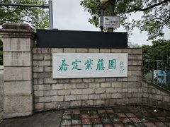 -嘉定紫藤园