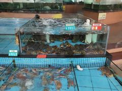 水产区-虎门不夜天海鲜市场
