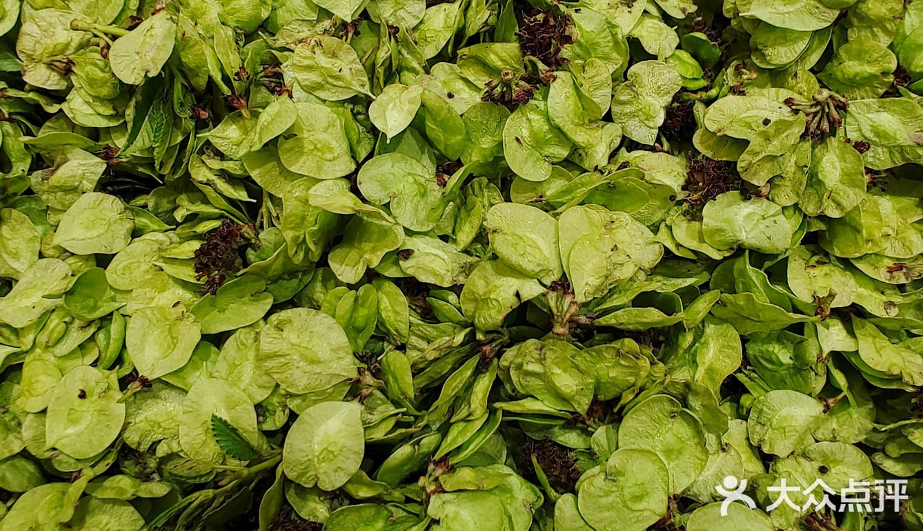 榆钱窝窝[得意]