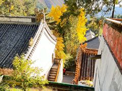 -潭柘寺景区