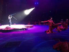 -珠海横琴长隆《卡卡虎奇遇记》