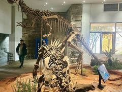 -自贡恐龙博物馆