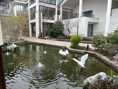 -广富林宰相府酒店·水云间