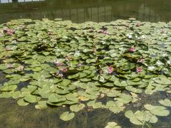 -天津东丽湖风景区