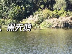 -稻香湖景欢乐岛温泉城堡