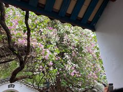 -深圳国际园林花卉博览园