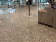 -麦当劳(北京大兴机场二层国内到达(安检外)店)