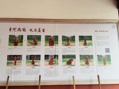 -莆田南少林寺