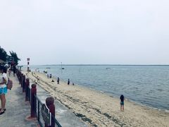 -北海金海湾红树林生态旅游区