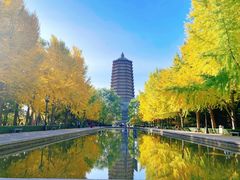 -玲珑塔公园