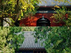 -国家植物园