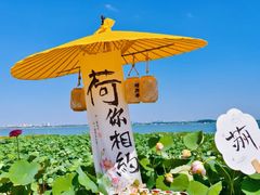 -七的湖·晚芳亭·阳澄湖农家菜·大闸蟹(莲花岛店)