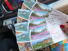 -棒棰岛宾馆景区