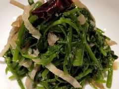 -金鼎轩·滋养小餐馆(联想桥店)