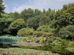 -杭州植物园