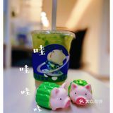 🦆可爱的鸭子看多了|🐷可爱的猪猪见过吗!?