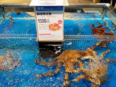 -盒马X会员店(王府井奥莱UP TOWN店)