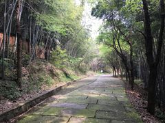 -达蓬山旅游度假区