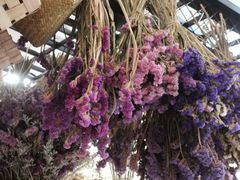 -L.C FLORA花予你(城西银泰城店)