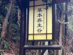 -明月山天沐温泉度假村