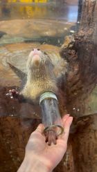 -Zoolung Zoolung动物主题公园(海信广场店)