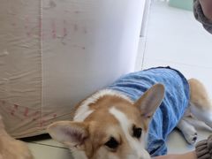 -怪兽屋·羊驼·猫咖·狗咖(俊华广场店)