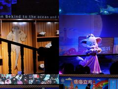 -成都浩海立方海洋公园