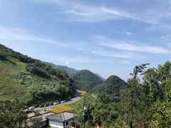 -武陵山森林公园