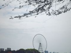 -桃源居(蠡园店)