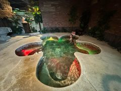 -泉城欧乐堡戏水湾艺术养生温泉