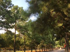 -同济大学(嘉定校区)