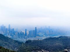 -大金鹰园